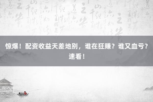 惊爆！配资收益天差地别，谁在狂赚？谁又血亏？速看！