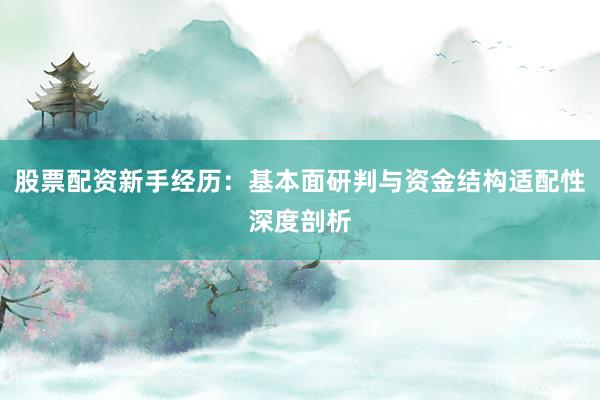 股票配资新手经历：基本面研判与资金结构适配性深度剖析