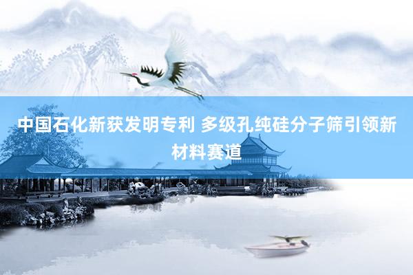 中国石化新获发明专利 多级孔纯硅分子筛引领新材料赛道