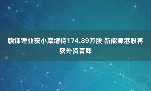 赣锋锂业获小摩增持174.89万股 新能源港股再获外资青睐
