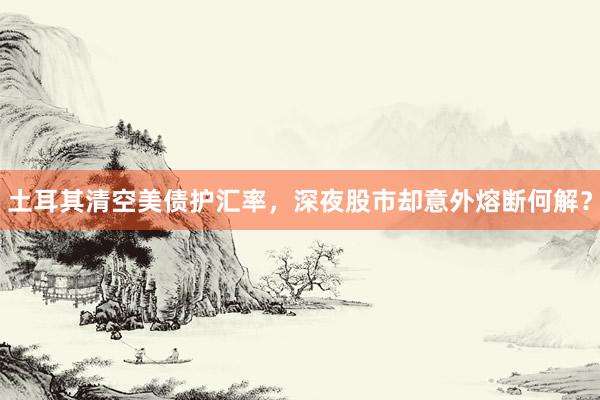 土耳其清空美债护汇率，深夜股市却意外熔断何解？