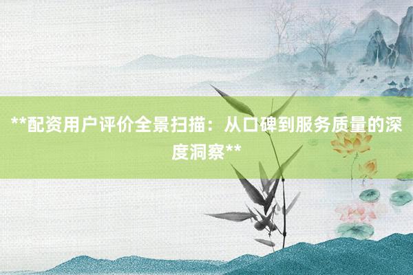 **配资用户评价全景扫描：从口碑到服务质量的深度洞察**