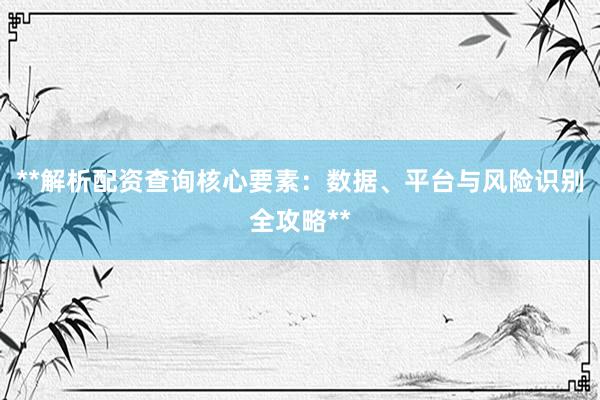**解析配资查询核心要素：数据、平台与风险识别全攻略**