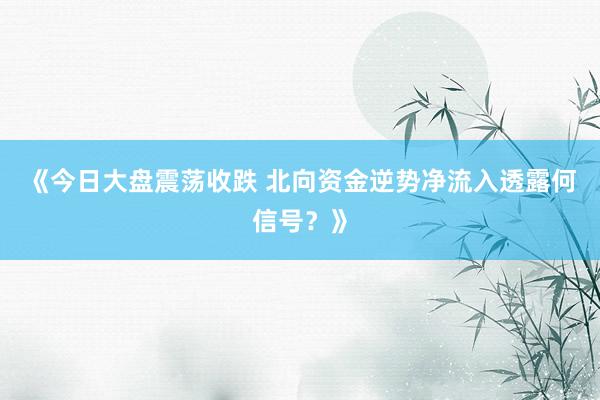 《今日大盘震荡收跌 北向资金逆势净流入透露何信号？》