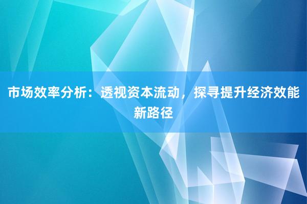 市场效率分析：透视资本流动，探寻提升经济效能新路径