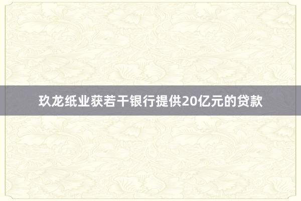 玖龙纸业获若干银行提供20亿元的贷款