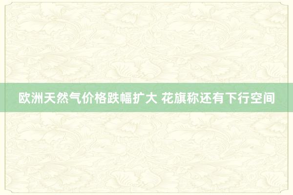 欧洲天然气价格跌幅扩大 花旗称还有下行空间