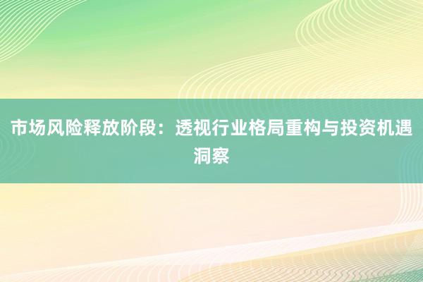 市场风险释放阶段：透视行业格局重构与投资机遇洞察