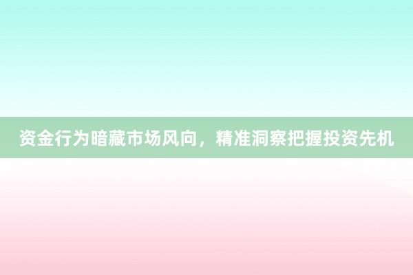 资金行为暗藏市场风向，精准洞察把握投资先机