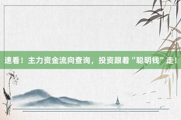 速看！主力资金流向查询，投资跟着“聪明钱”走！