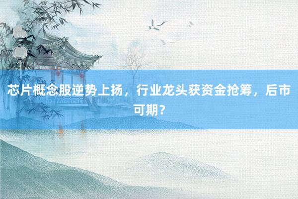 芯片概念股逆势上扬，行业龙头获资金抢筹，后市可期？