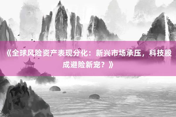 《全球风险资产表现分化：新兴市场承压，科技股成避险新宠？》