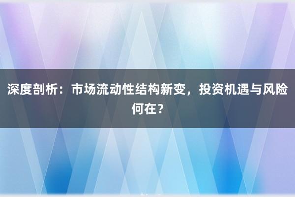 深度剖析：市场流动性结构新变，投资机遇与风险何在？