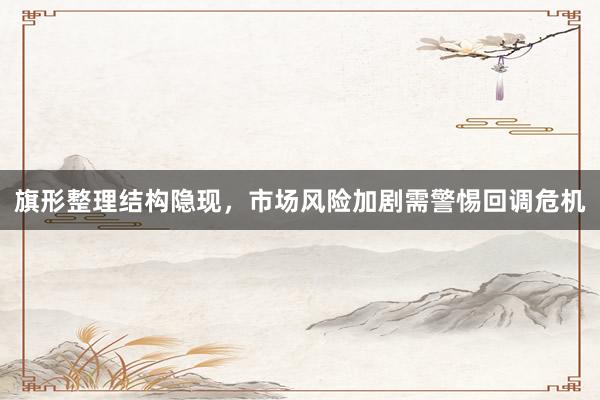 旗形整理结构隐现，市场风险加剧需警惕回调危机