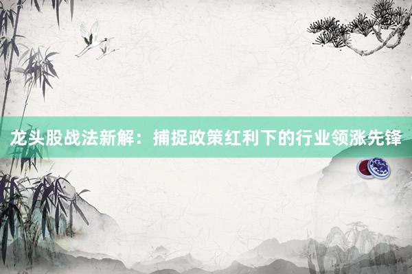 龙头股战法新解：捕捉政策红利下的行业领涨先锋