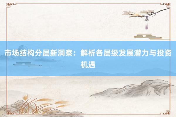 市场结构分层新洞察：解析各层级发展潜力与投资机遇