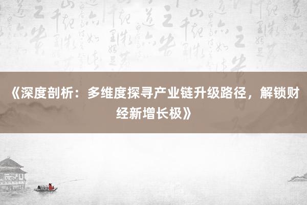 《深度剖析：多维度探寻产业链升级路径，解锁财经新增长极》
