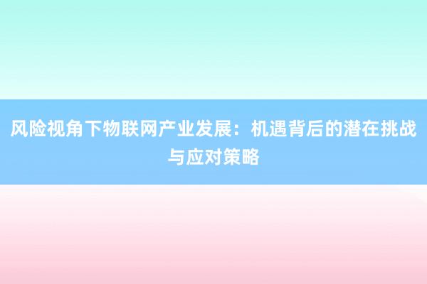 风险视角下物联网产业发展：机遇背后的潜在挑战与应对策略