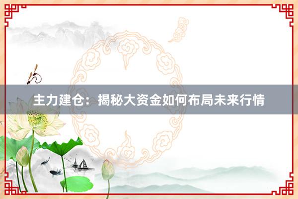 主力建仓：揭秘大资金如何布局未来行情