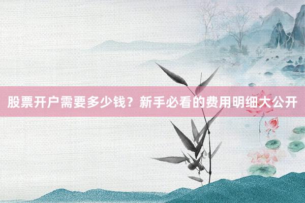 股票开户需要多少钱？新手必看的费用明细大公开