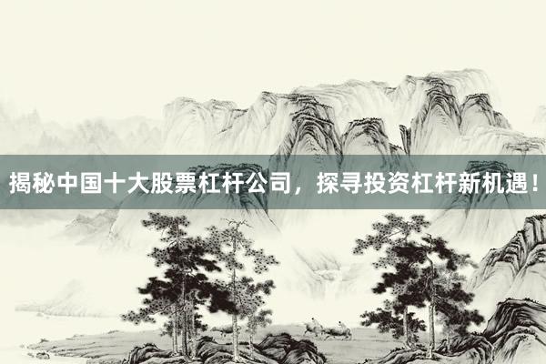 揭秘中国十大股票杠杆公司,探寻投资杠杆新机遇!